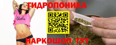 Альфа ПВП Кандалакша