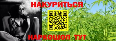 Альфа ПВП Кандалакша